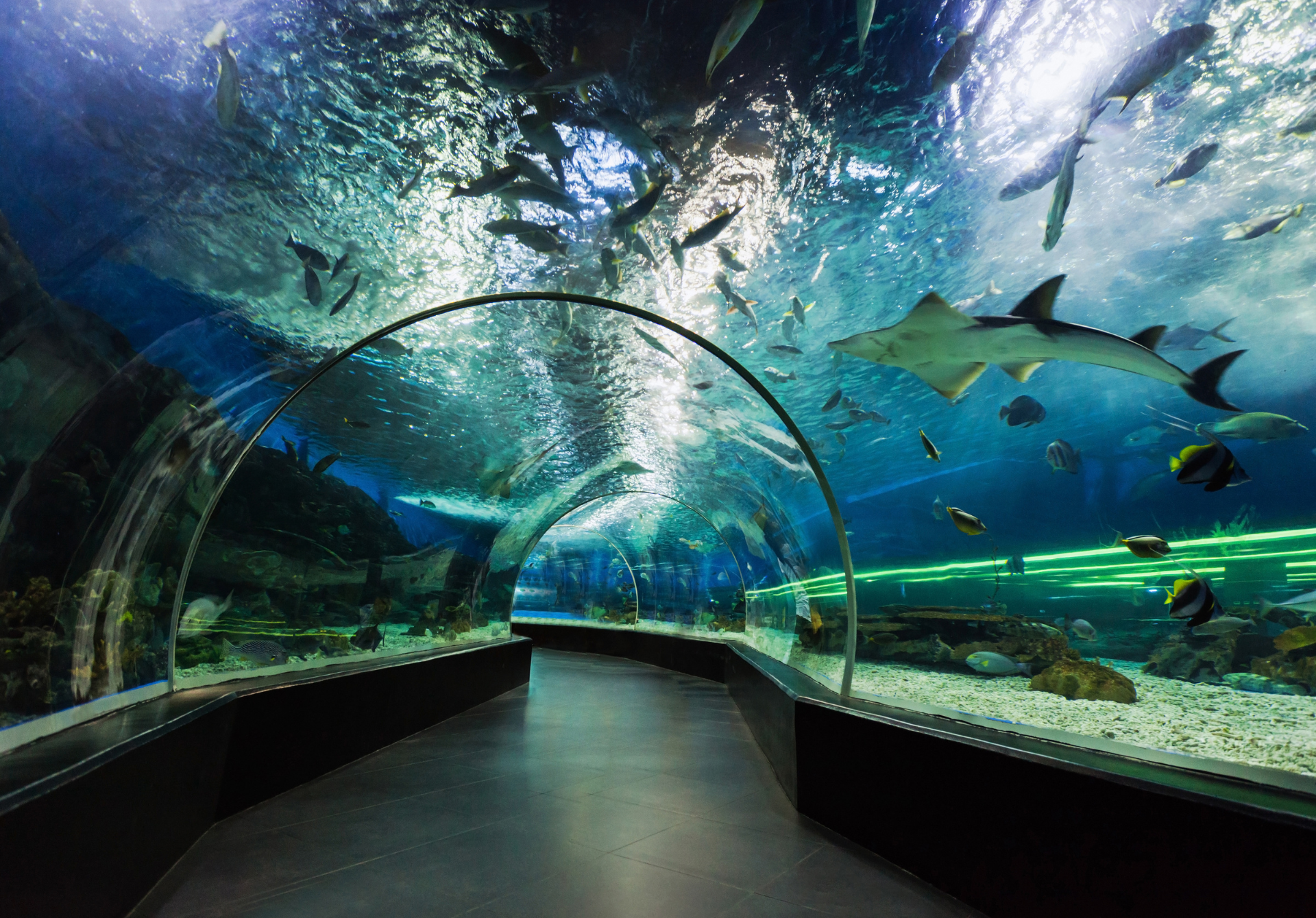 Manila Ocean Park